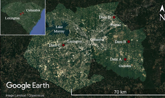 Geotechnical Observations of Dams Failed During the 2015 Historic Flooding in South Carolina